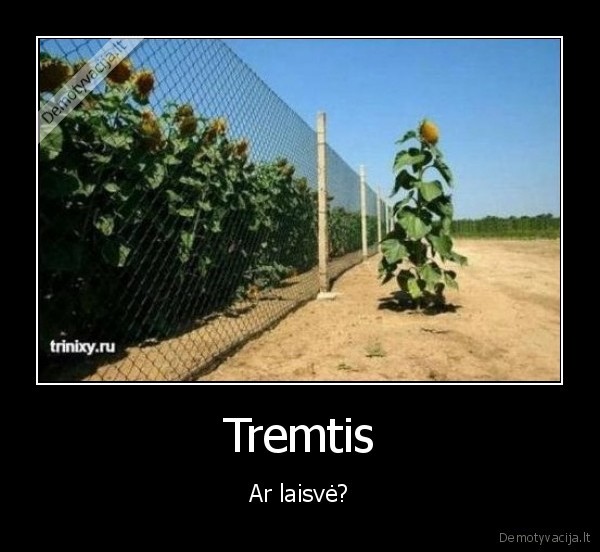 Tremtis