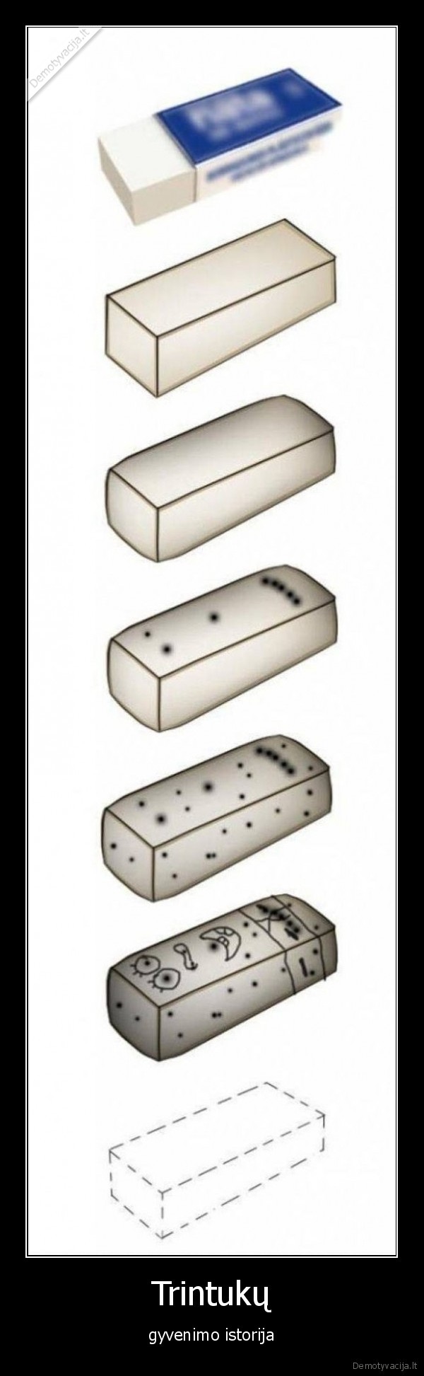 trintukas,gyvenimas,istorija