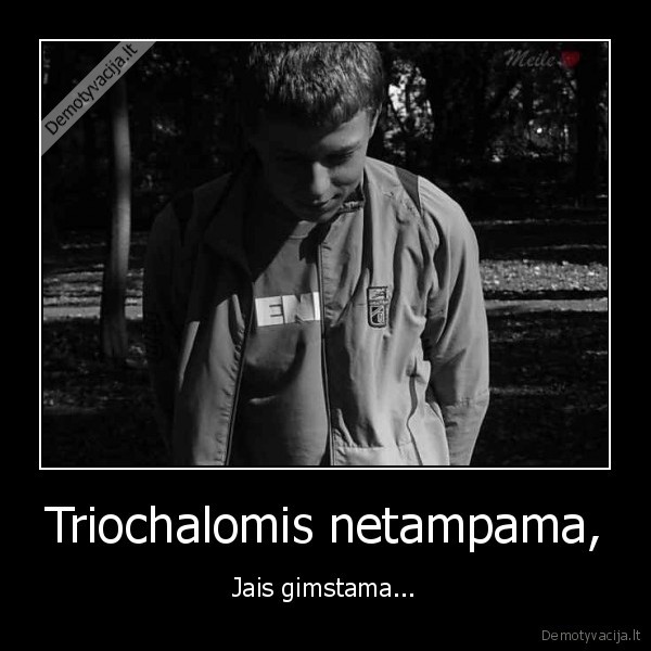 Triochalomis netampama,