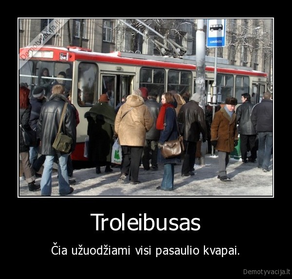 Troleibusas