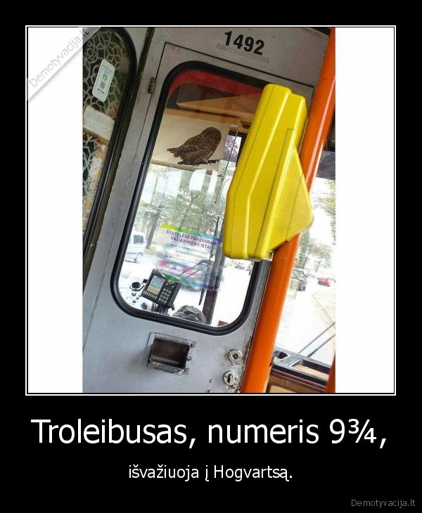 peleda,troleibusas,hogvartsas,haris,poteris