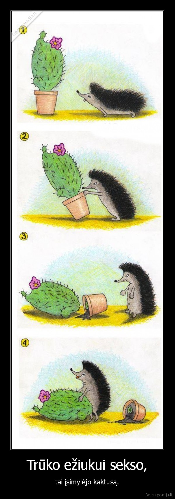 Trūko ežiukui sekso,