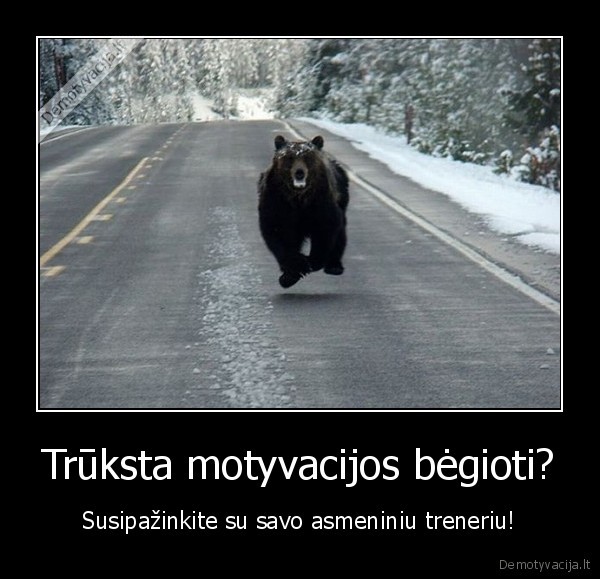 asmeninis, treneris,meska,lokys,motyvacija,begiojimas