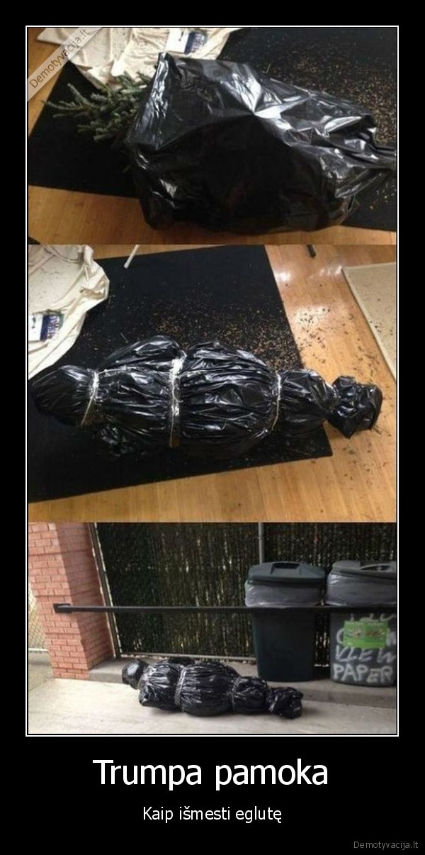 kaledine, eglute,sena, eglute