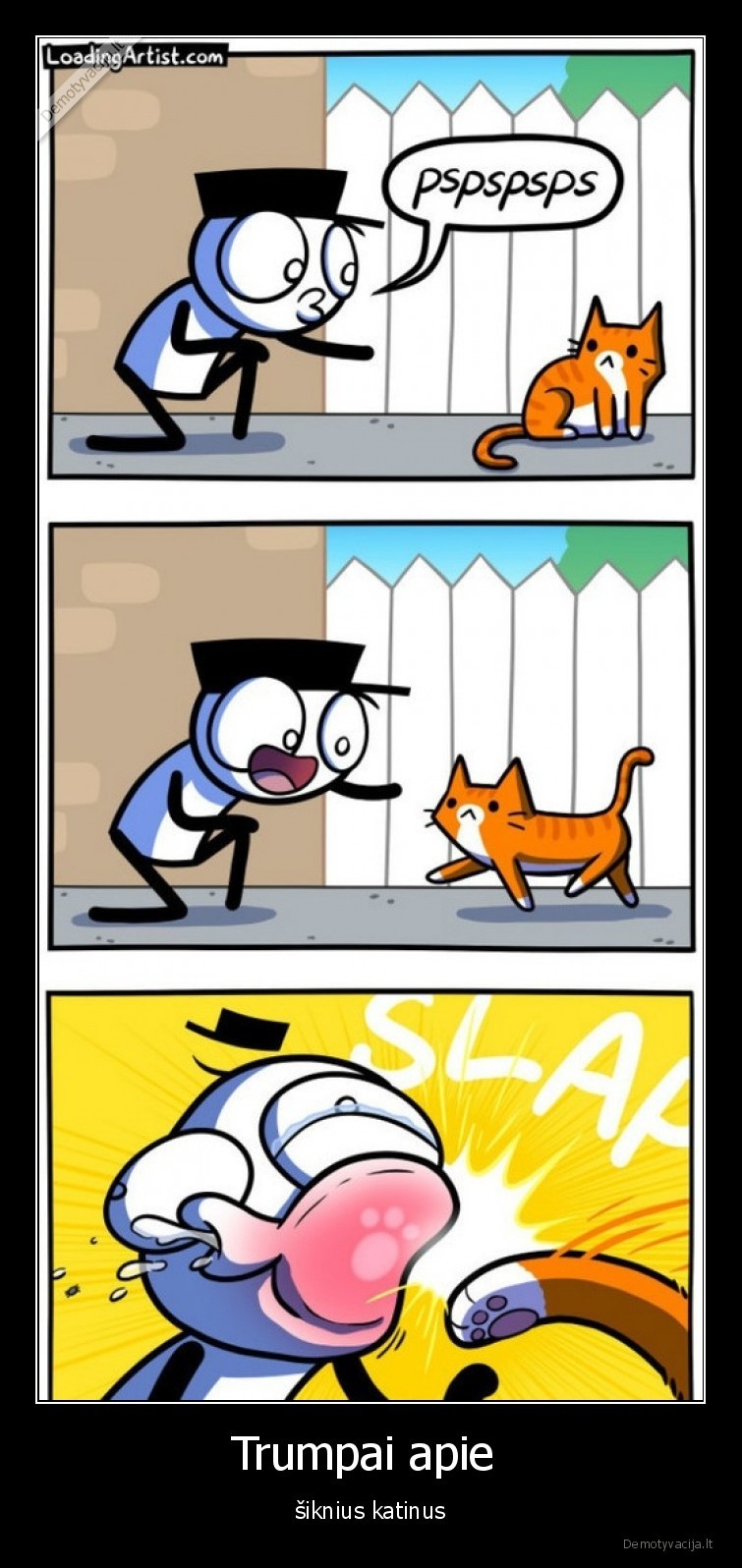 katinas,sikniai,katinai