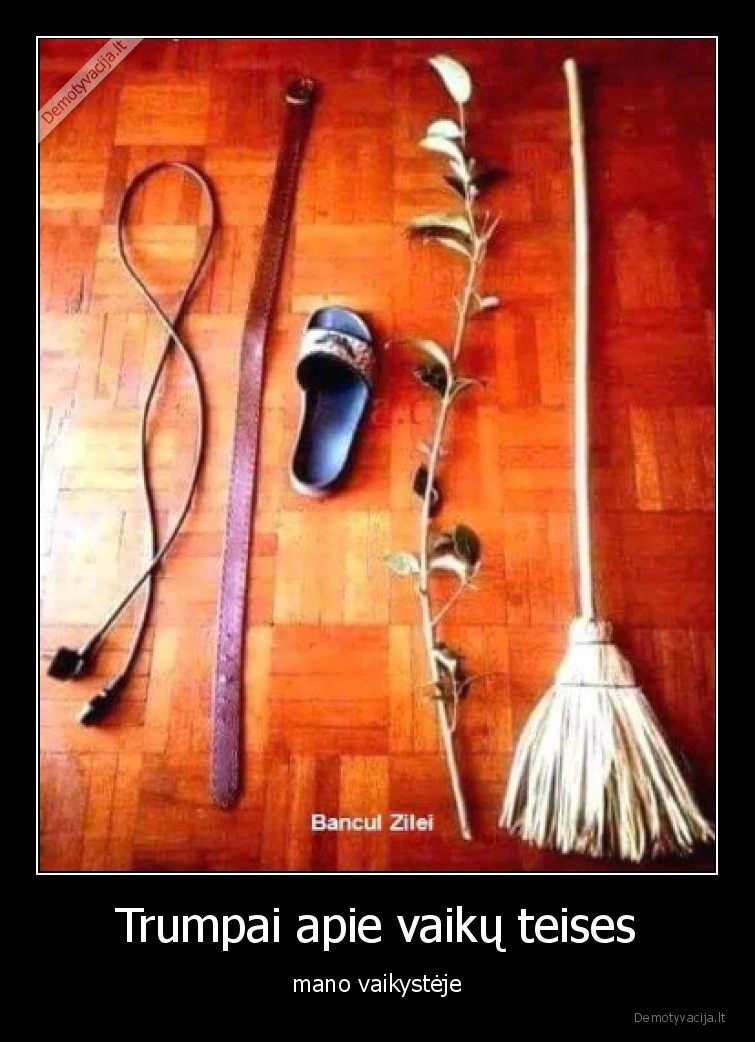 vaiku, teises,vaikai,gaudavo,i, skura