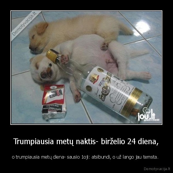 nauji, metai,sventes,alus