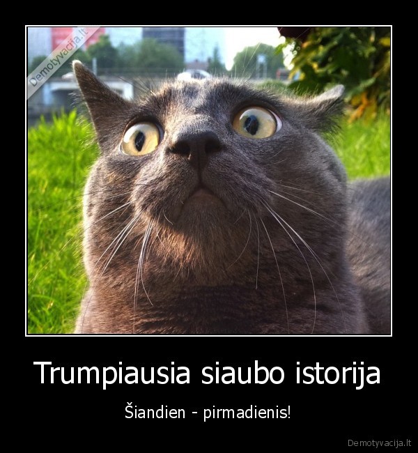 pirmadienis,siaubo, istorija