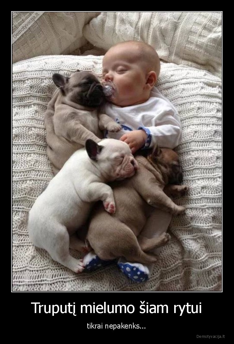 mielumas,vaikas,suniukai