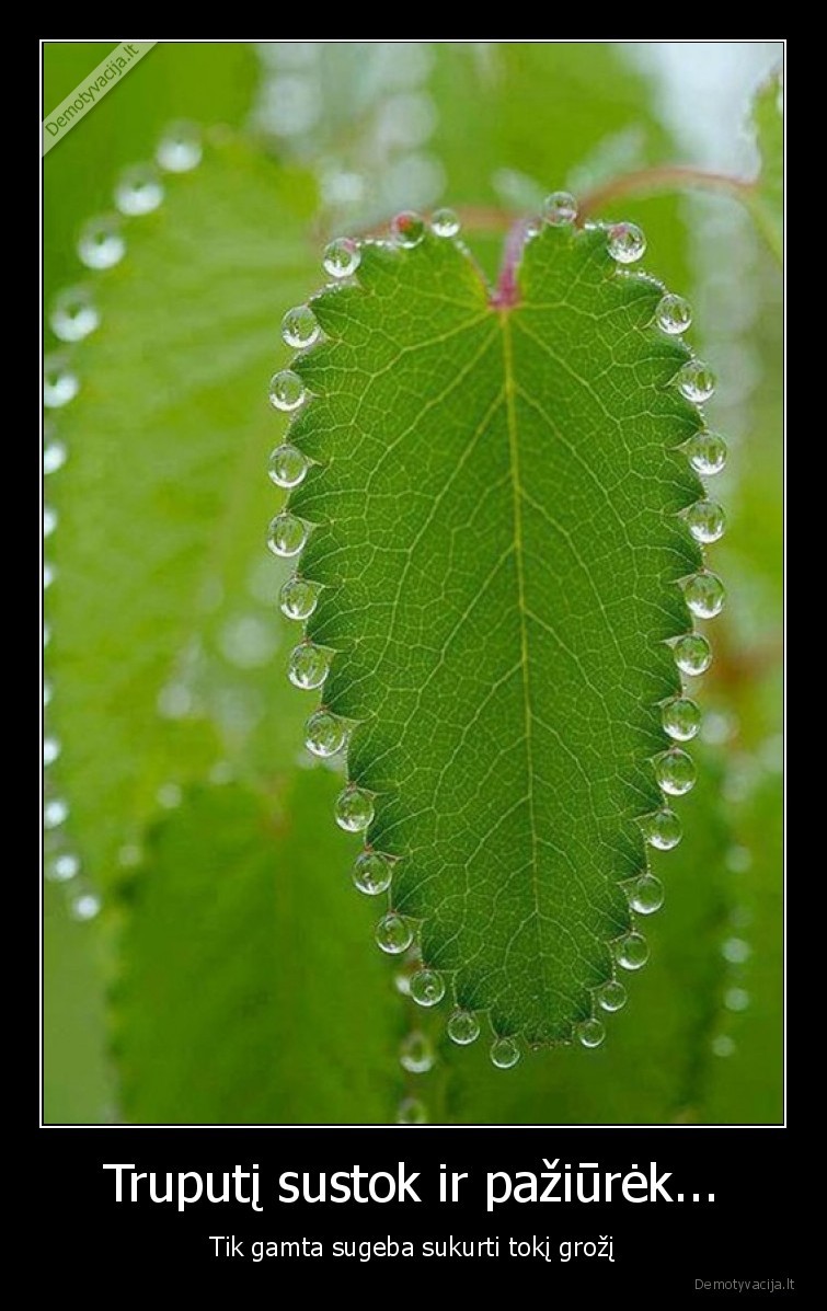 gamta,grozis,sustok,paziurek