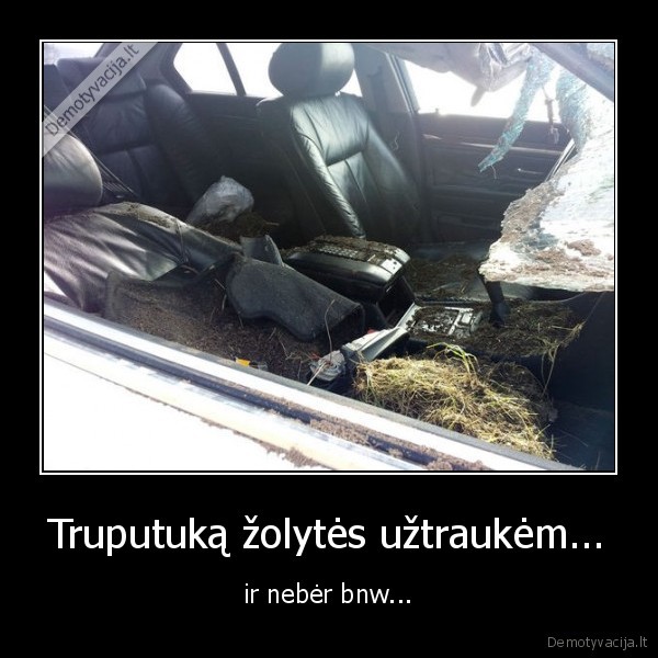 Truputuką žolytės užtraukėm...