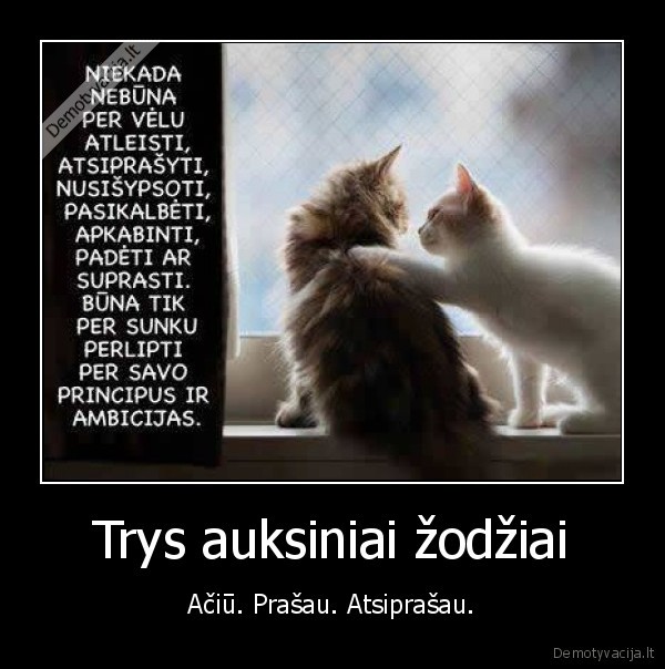 aciu.prasau.atsiprasau., zodziai,trys,auksiniai