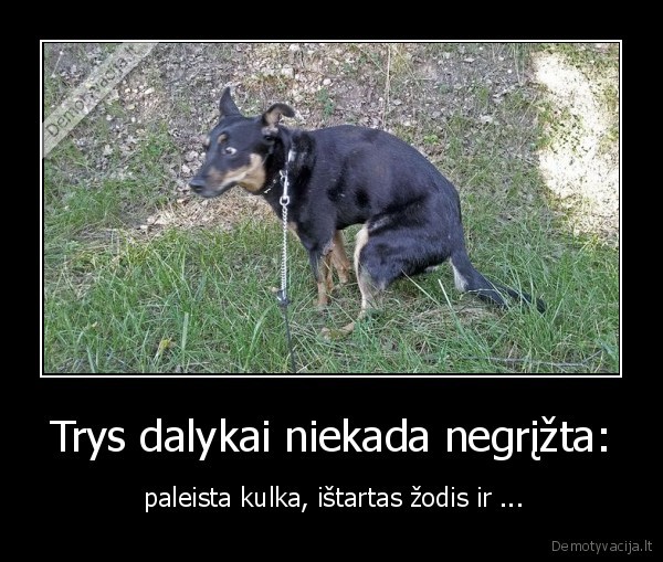 Trys dalykai niekada negrįžta: