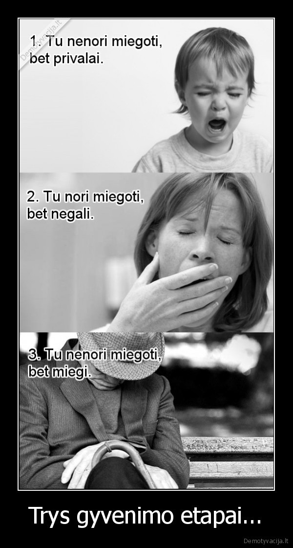 Trys gyvenimo etapai...