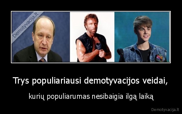 kubilius, chuck, norris, bieber, justin, lololol, trololol, populiarumas
