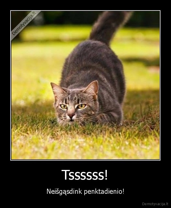 penktadienis,gasdinti,greitas,savaitgalis