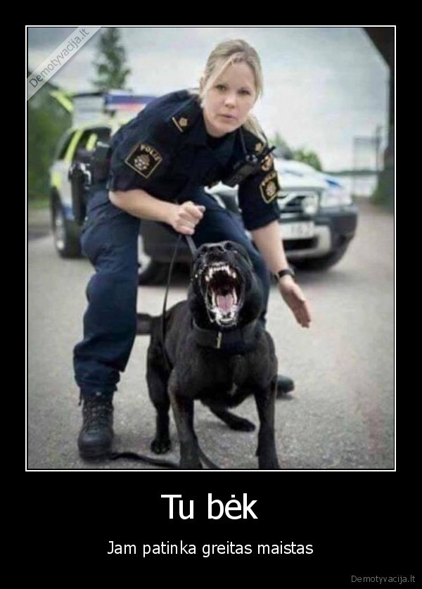 greitas, maistas,policijos, suo,piktas, suo