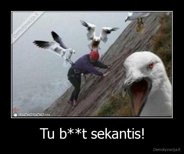 Tu b**t sekantis!