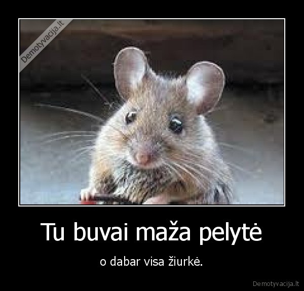 Tu buvai maža pelytė