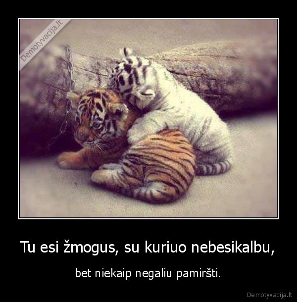 Tu esi žmogus, su kuriuo nebesikalbu,