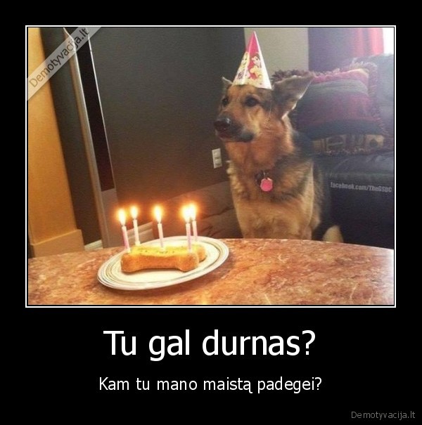 suns, gimtadienis,jubiliatas