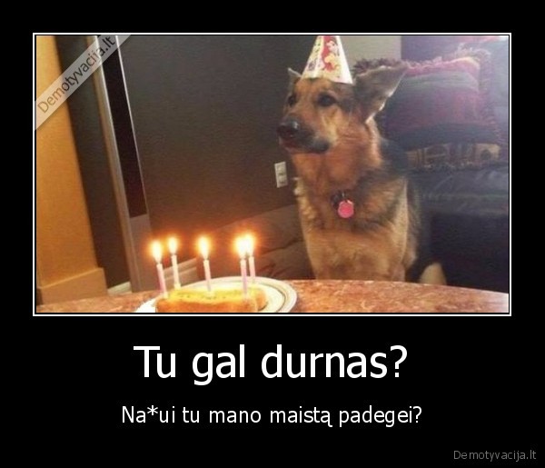suo,suns, gimtadienis