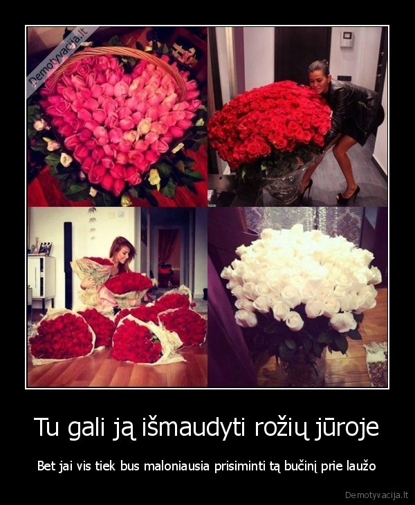 romantika,daug, roziu,meile