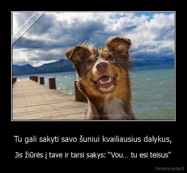 Tu gali sakyti savo šuniui kvailiausius dalykus,