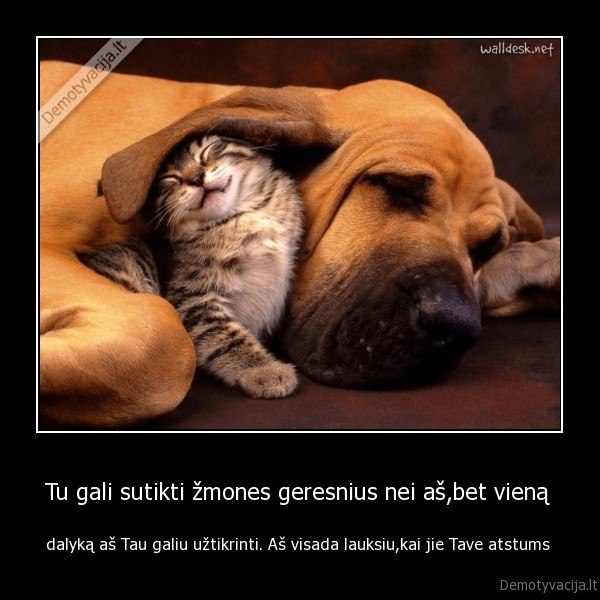 Tu gali sutikti žmones geresnius nei aš,bet vieną 