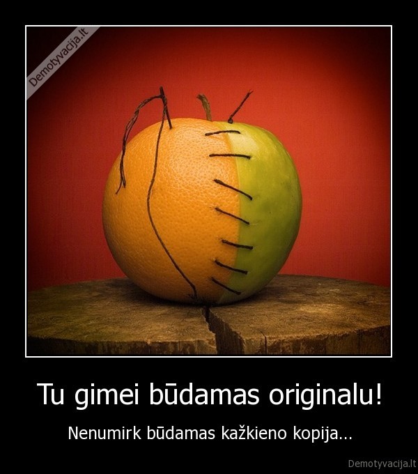 originalas,original,copy,kopija,zmogus