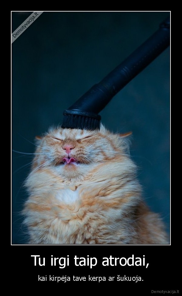 Tu irgi taip atrodai,