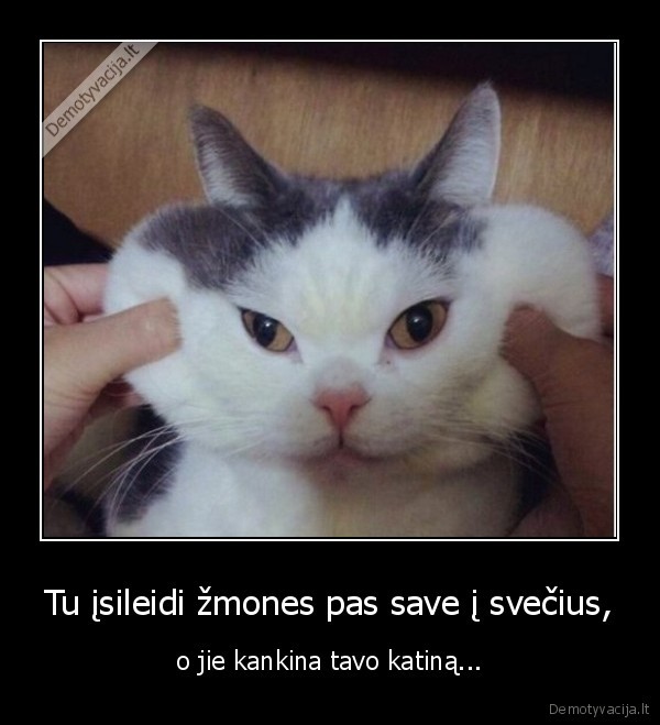 Tu įsileidi žmones pas save į svečius,