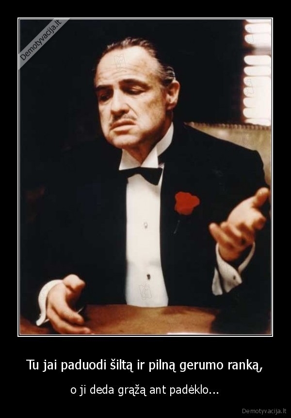 graza,pardaveja,parduotuve