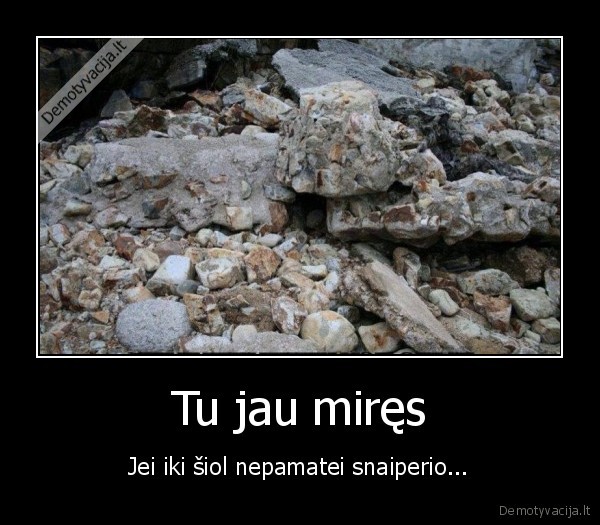 snaiperis,nepamate,mires