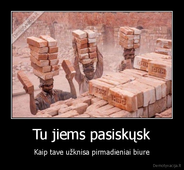 skundai,sunkus, darbas,darbininkai,plytu, nesiojimas