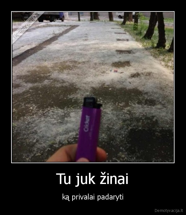 ziebtuvelis,sprogdinti