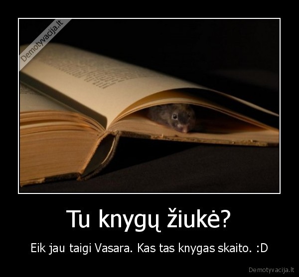 Tu knygų žiukė?