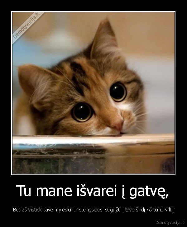 Tu mane išvarei į gatvę,