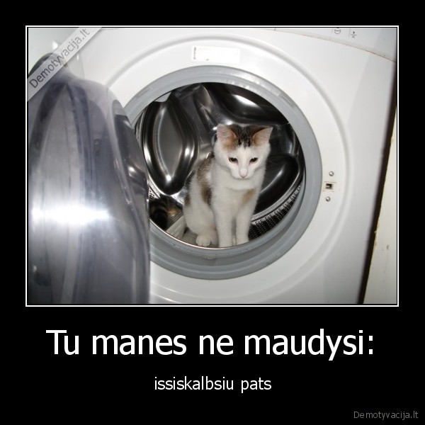 katinai,skalbimo, masinos