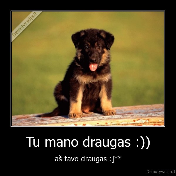 Tu mano draugas :))