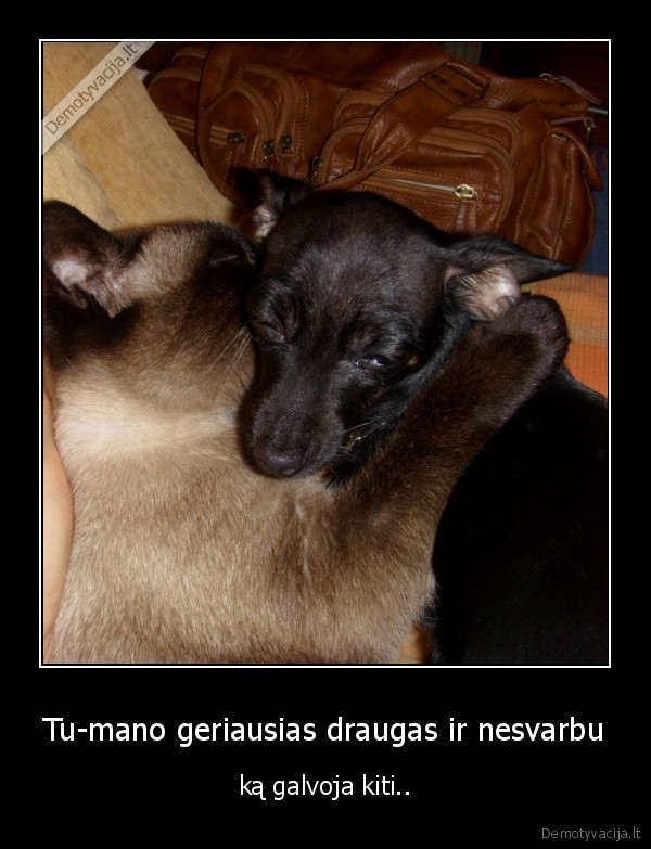 Tu-mano geriausias draugas ir nesvarbu