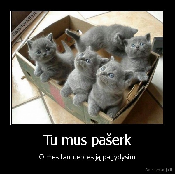 depresija,mieli, kaciukai,katiniukai