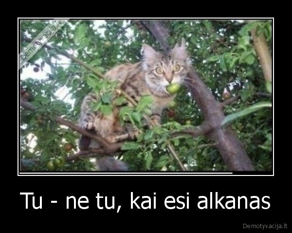 Tu - ne tu, kai esi alkanas