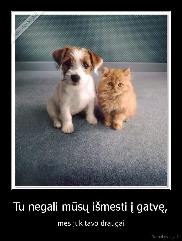 kate, yra, bate,gyvenimas,suo,yra,suo