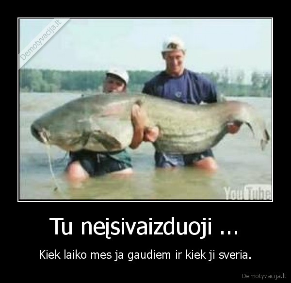 Tu neįsivaizduoji ...