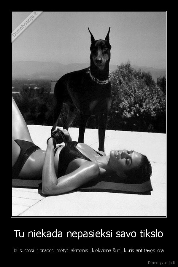 sunys,gyvenimo, tikslai