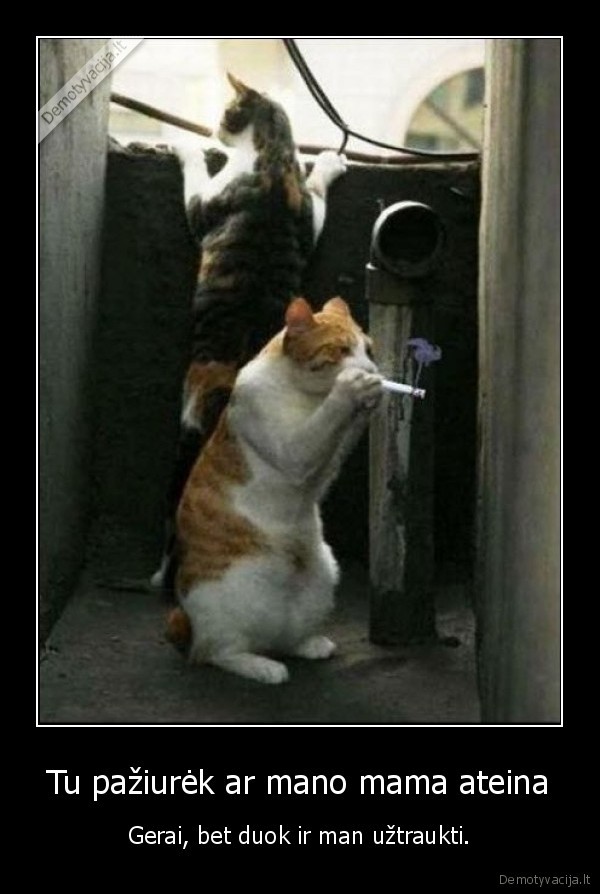 Tu pažiurėk ar mano mama ateina