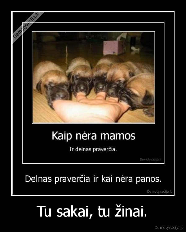 Tu sakai, tu žinai.