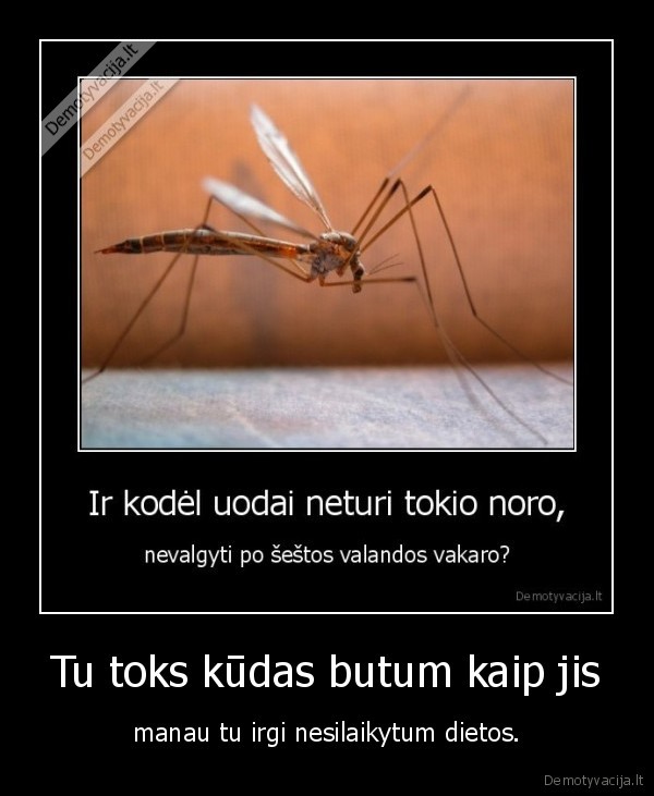 kudas, uodas, gelia, skaudziai