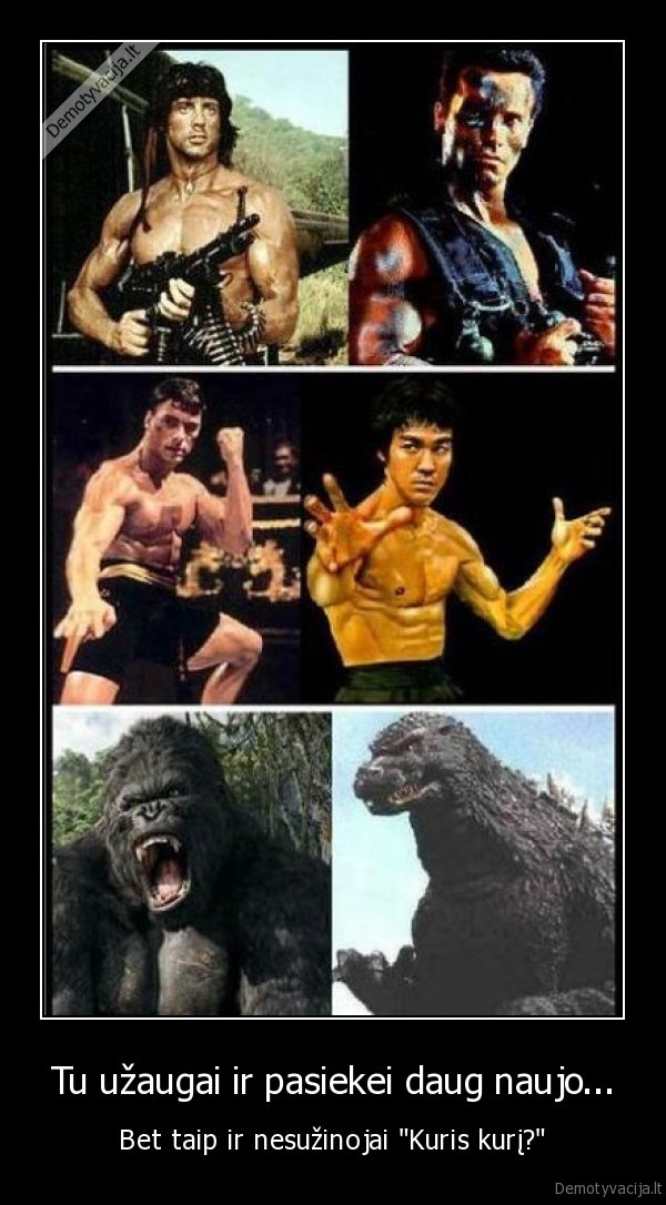 rembo,godzila,van, damas